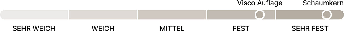 beties PublikRelax Innenkissen mit horizontaler 5-stufiger Festigkeitsskala von sehr weich über weich, mittel und fest bis sehr fest. Zwei weiße Markierungskreise zeigen die Festigkeit von ‚Fest‘ für die Visco-Auflage und ‚Sehr fest‘ für den Schaumkern.